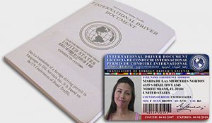 Как получить водительское удостоверение международного образца?